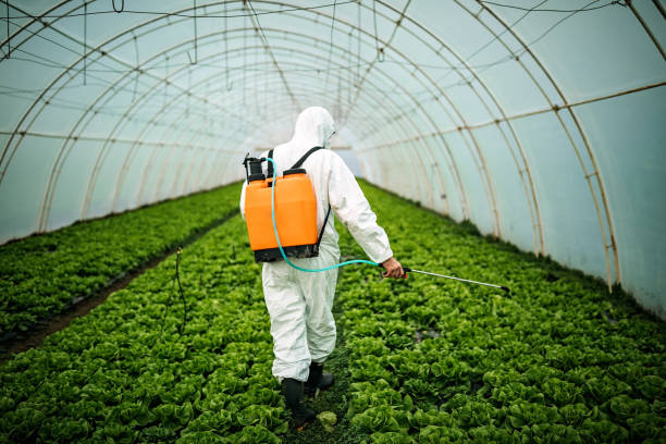 Reliable Caledonia, MS Pest Control Solutions