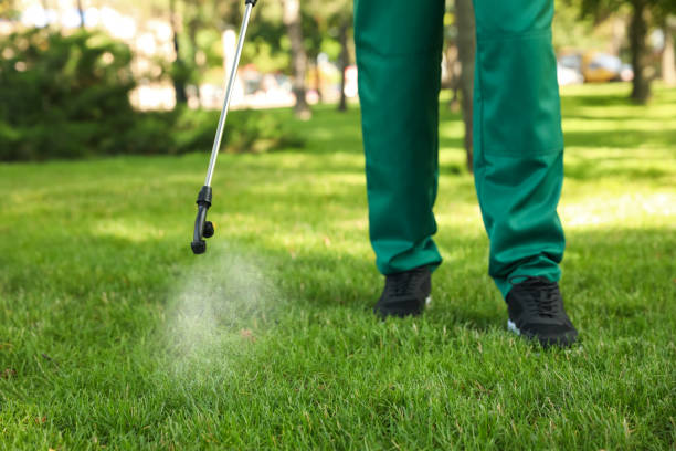 Best Mosquito Control Services  in Caledonia, MS