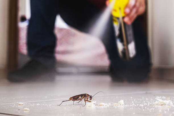  Caledonia, MS Pest Control Pros