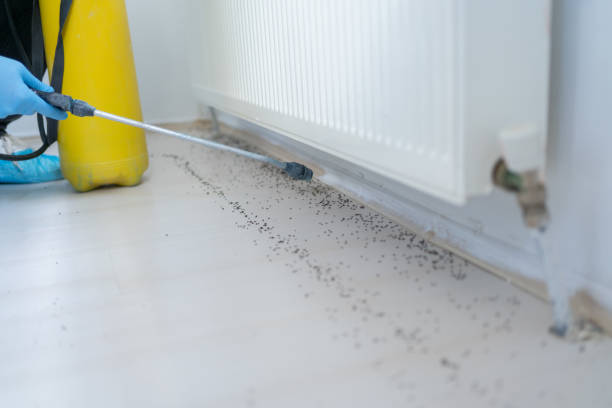 Best Pest Control Near Me in Caledonia, MS